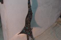 Fungus prolongatus